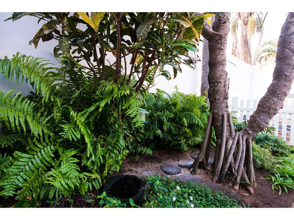 Flamingo Rocks Bed and Breakfast Durban Eksteriør billede